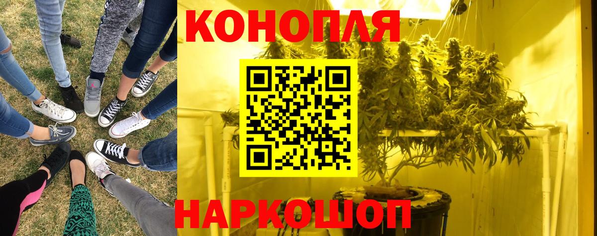 Бошки марихуана Amnesia  Вход с VPN  Шишки марихуана White Widow  Бошки марихуана конопля  Ишимбай 